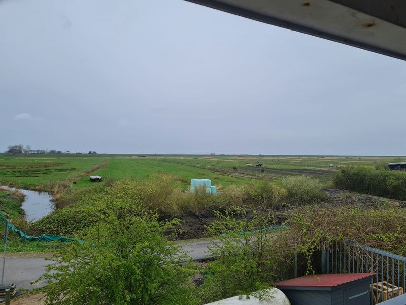 Bild von Wohnung in Husum