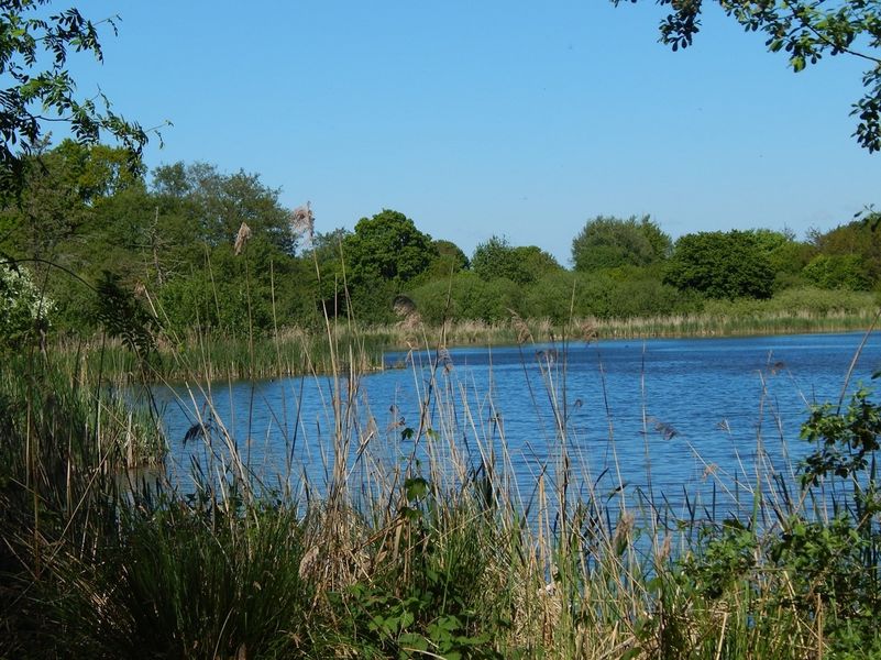 Bild von Haus in Owschlag