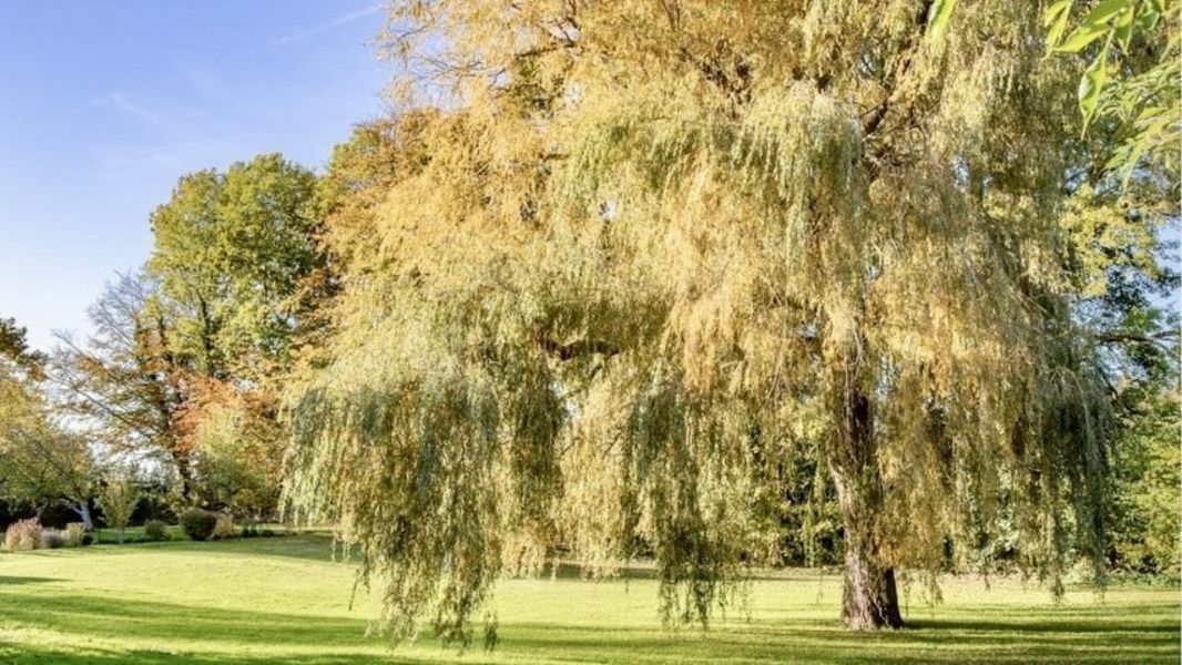 Bild von Haus in Brodersby-Goltoft