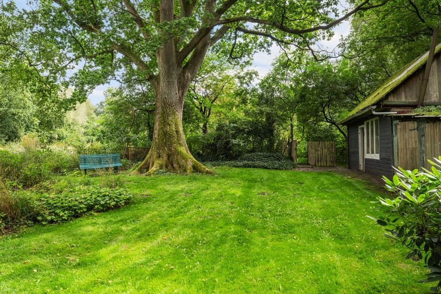 Bild von Haus in Nehms