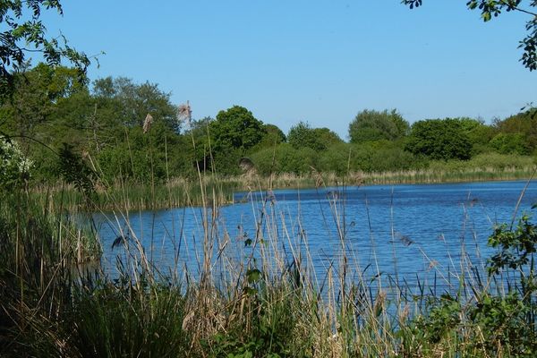Bild von Grundstück in Owschlag