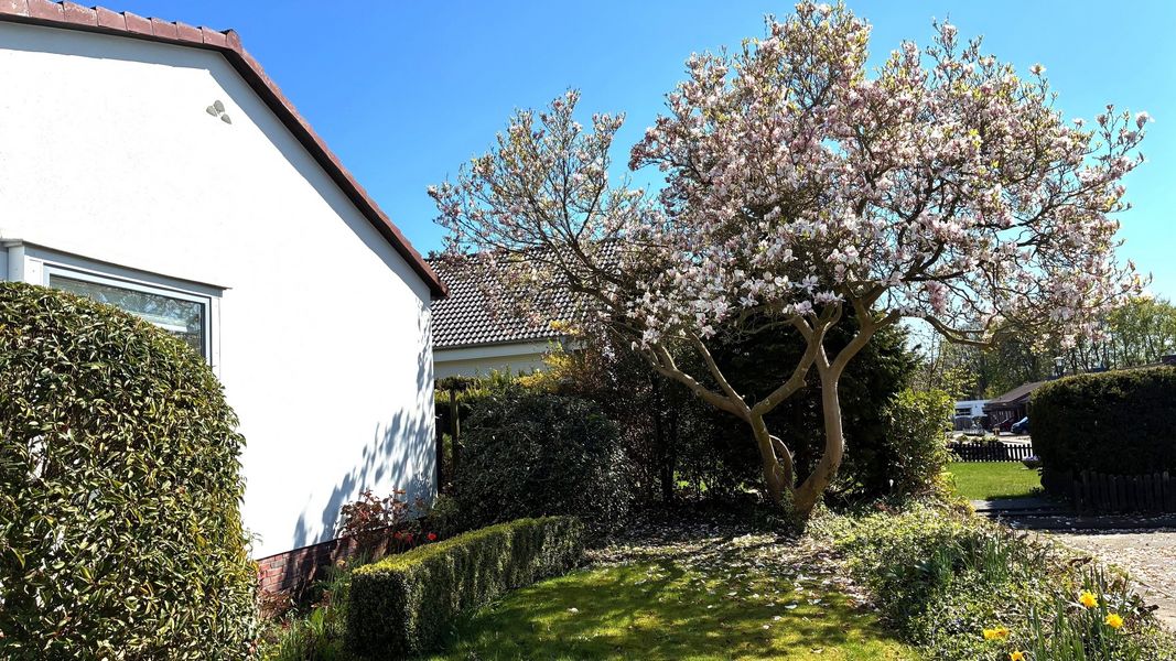 Bild von Haus in Büdelsdorf