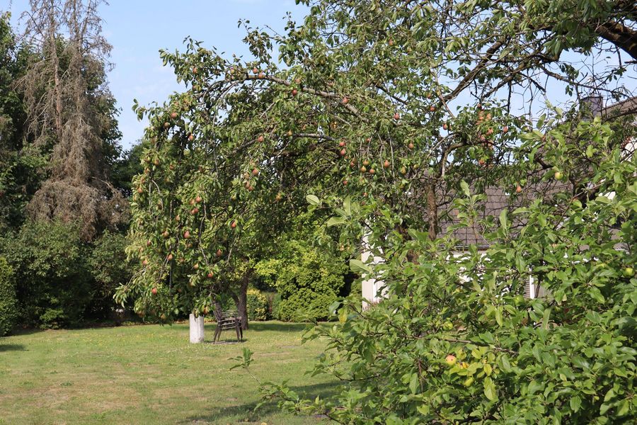 Bild von Haus in Jahrsdorf