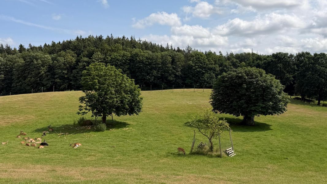 Bild von Gewerbeobjekt in Brekendorf