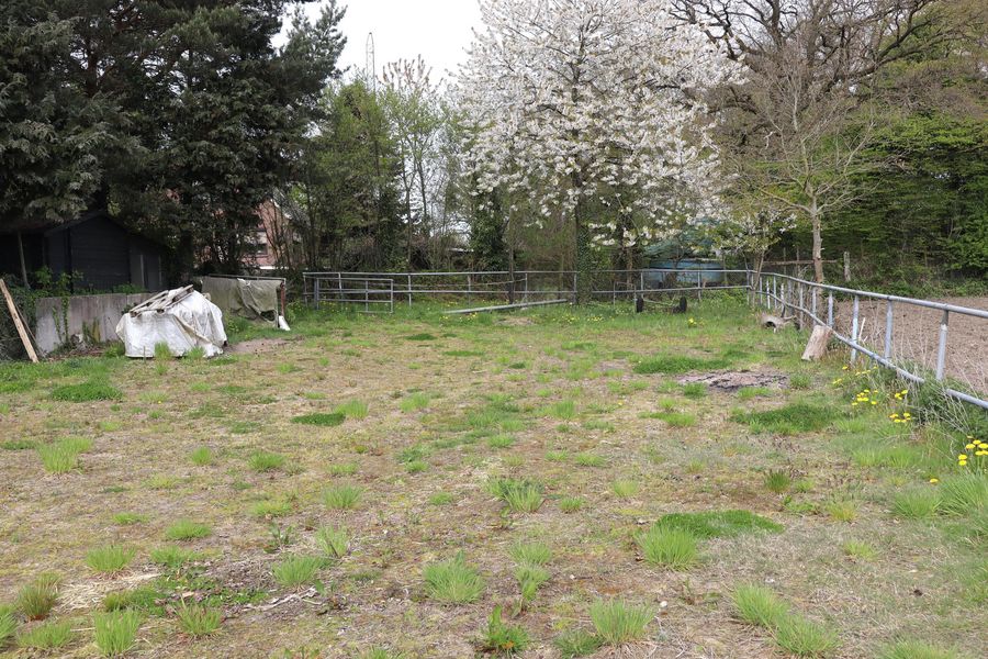 Bild von Haus in Remmels