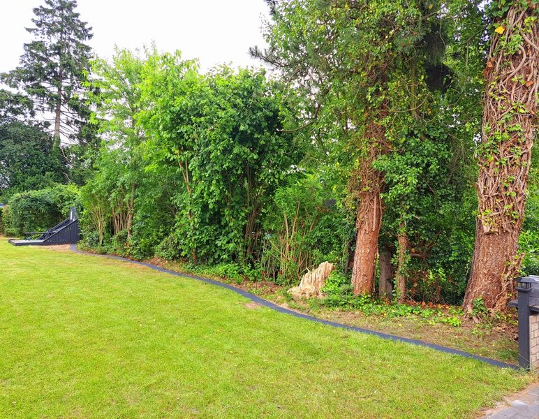 Bild von Haus in Neumünster