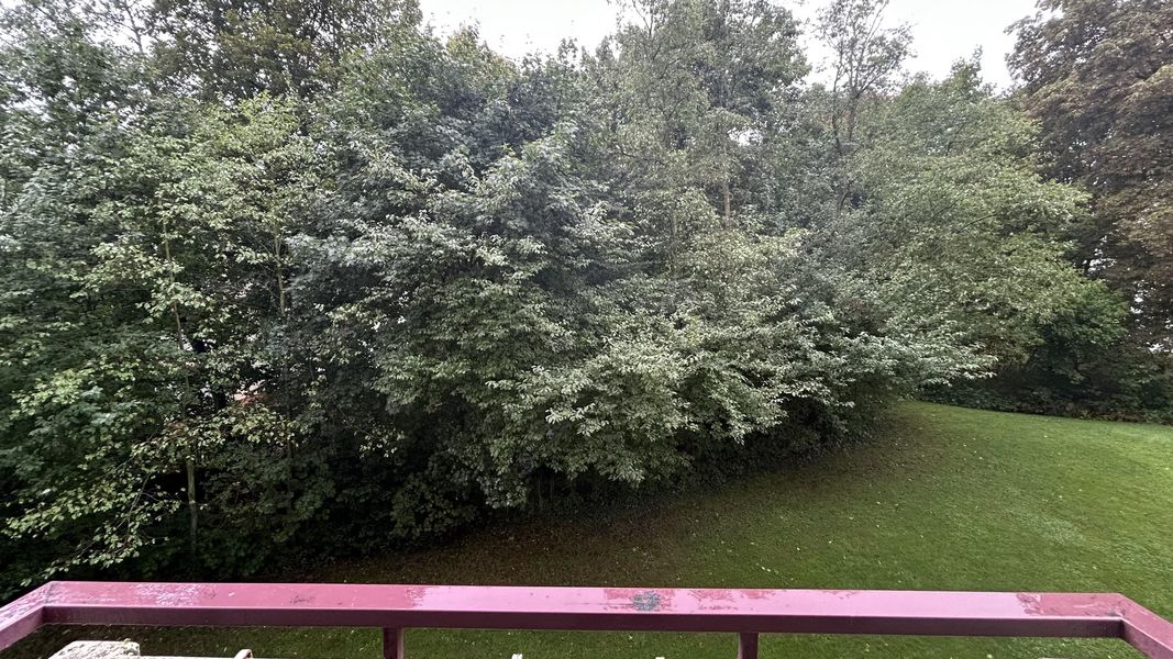Bild von Wohnung in Kiel