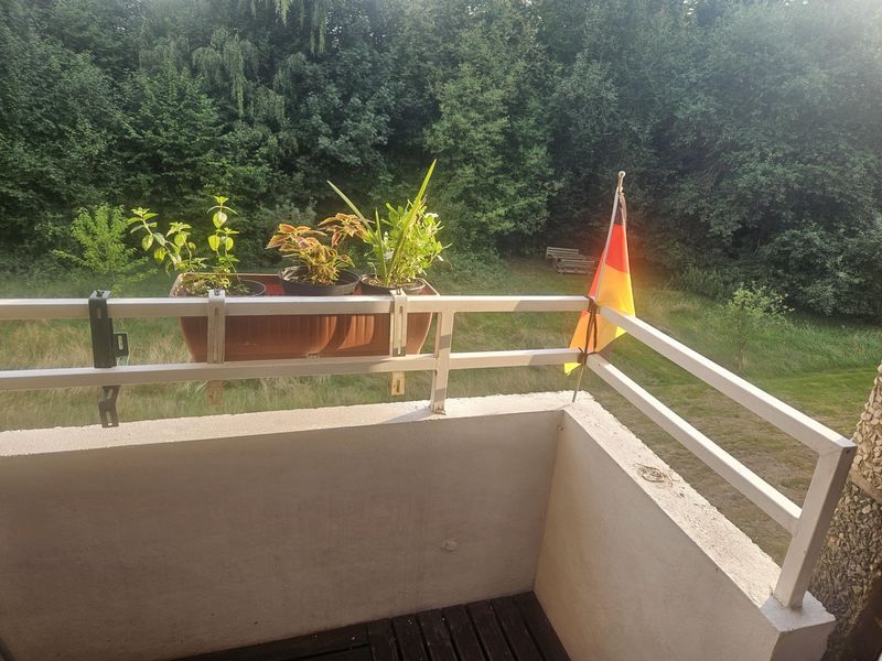 Bild von Wohnung in Neumünster