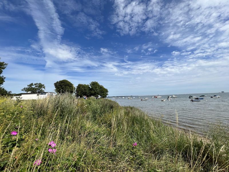 Bild von Haus in Kappeln