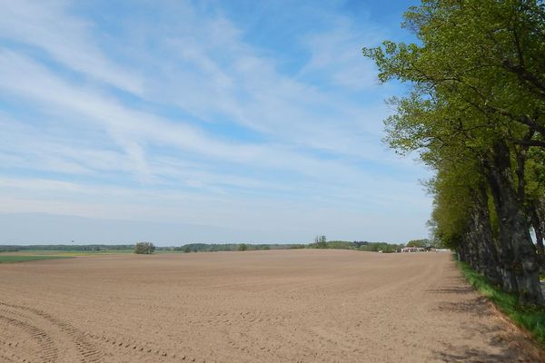 Bild von Grundstück in Zülow