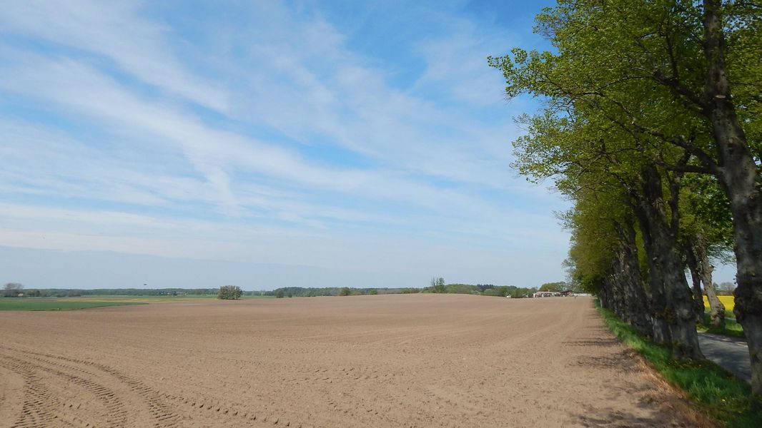 Bild von Grundstück in Zülow