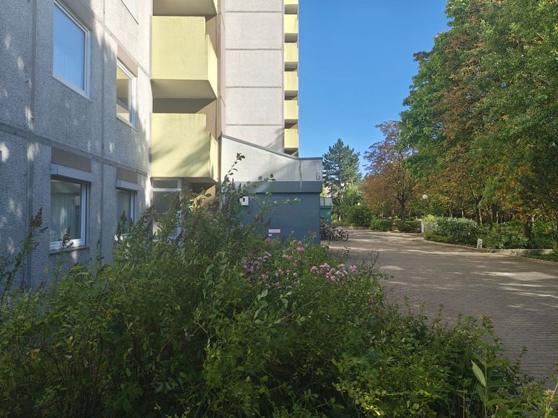 Bild von Wohnung in Kiel