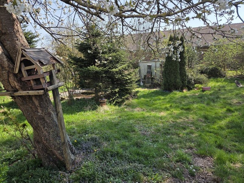 Bild von Grundstück in Oldenburg
