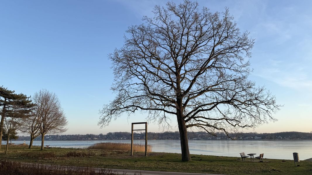 Bild von Wohnung in Schleswig