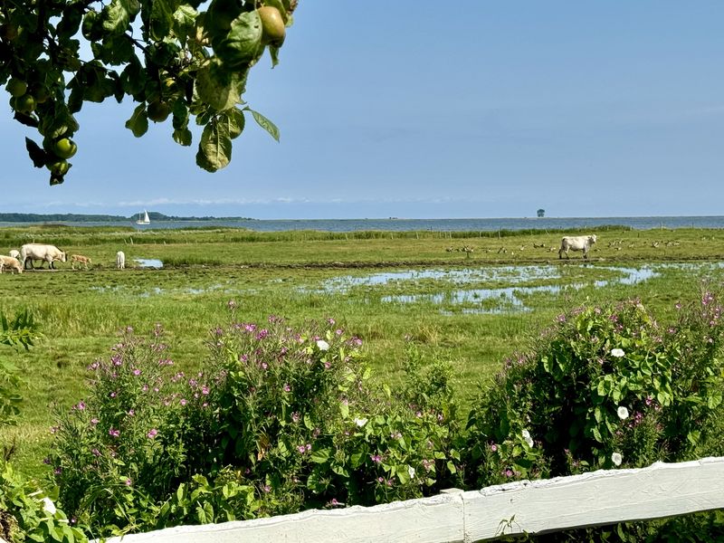 Bild von Haus in Kappeln