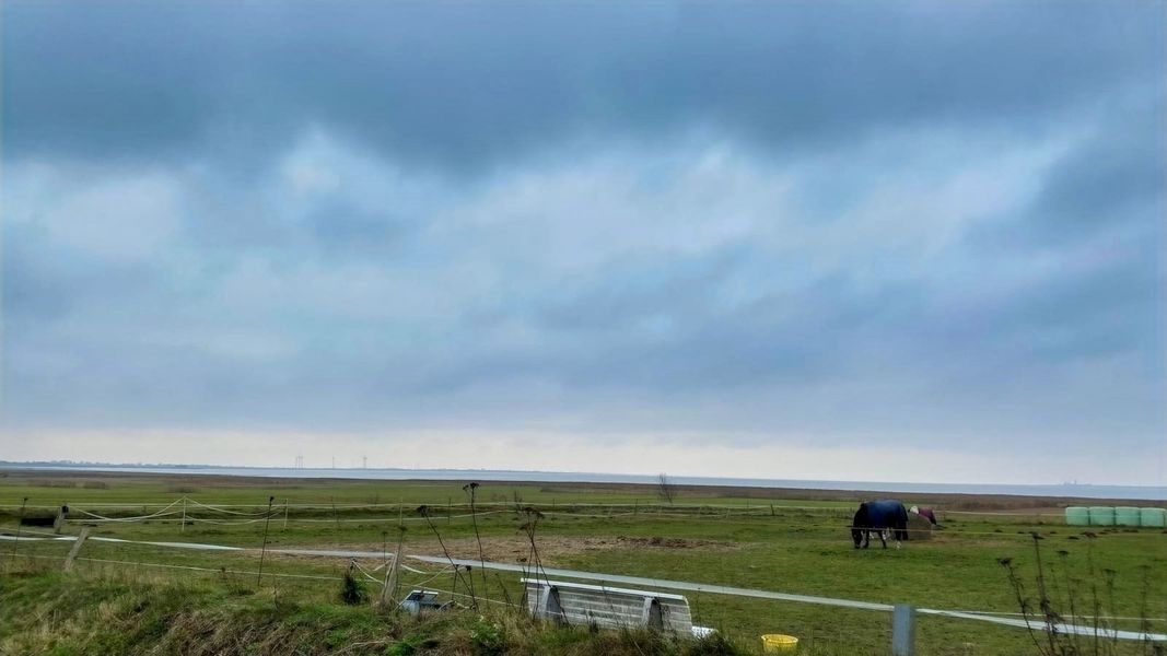 Bild von Haus in Husum