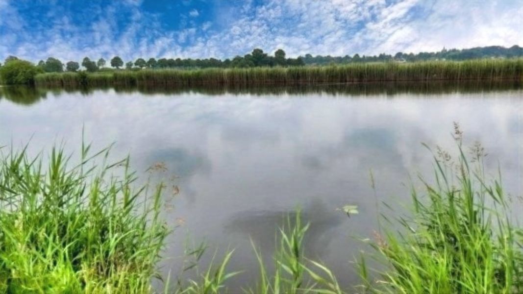 Bild von Grundstück in Breiholz