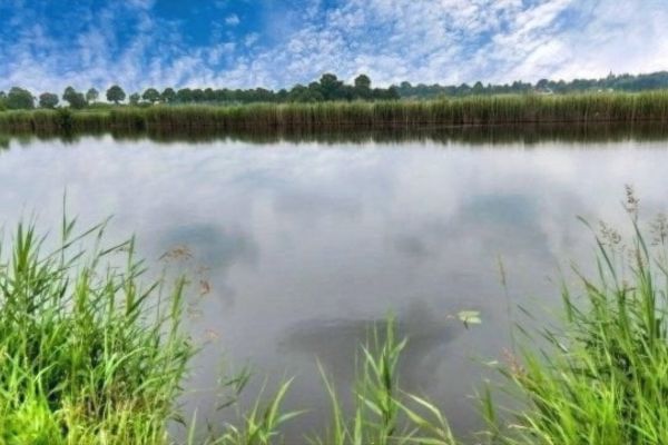 Bild von Grundstück in Breiholz