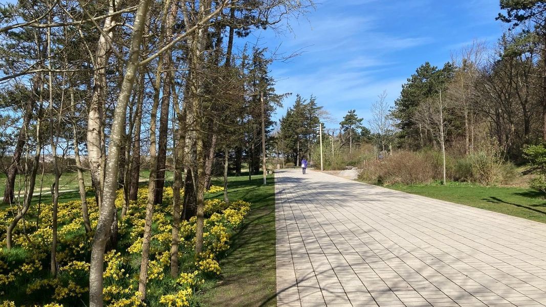 Bild von Wohnung in Sankt Peter-Ording