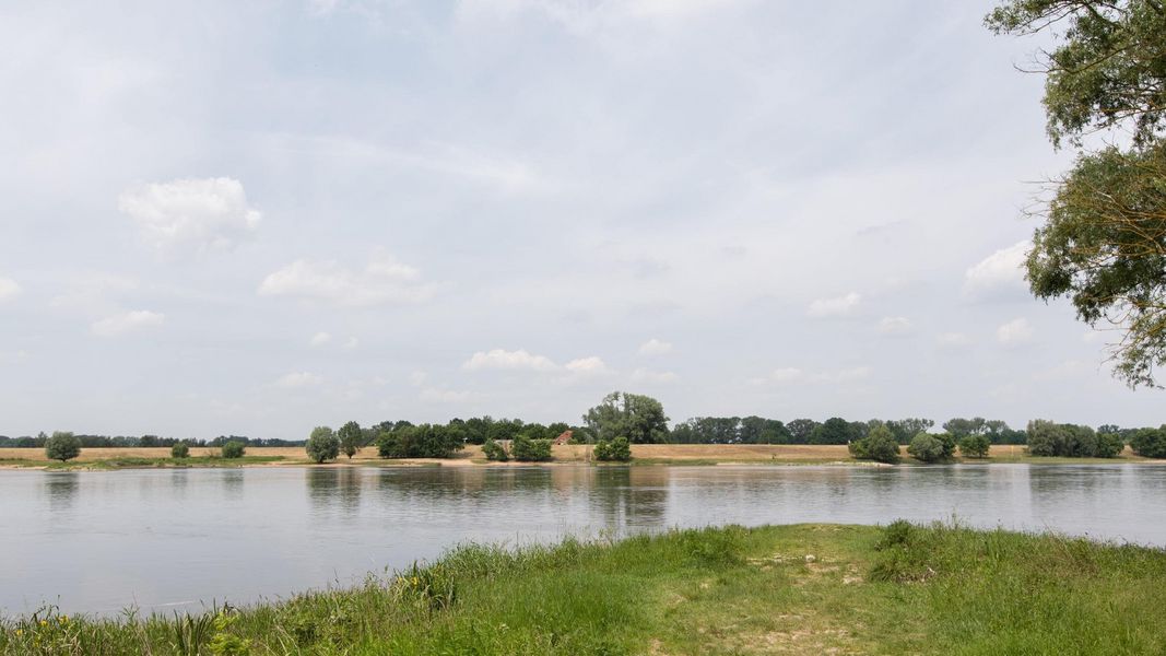 Bild von Gewerbeobjekt in Gorleben