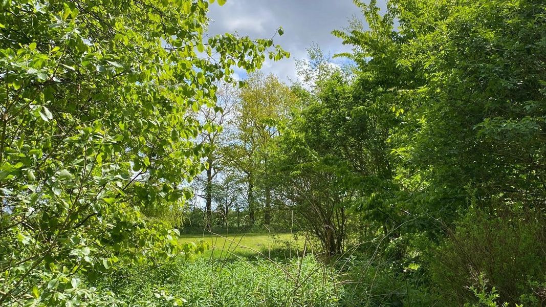 Bild von Haus in Weesby