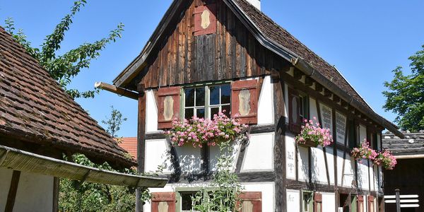 Symbolbild Altbau Reetdachhaus