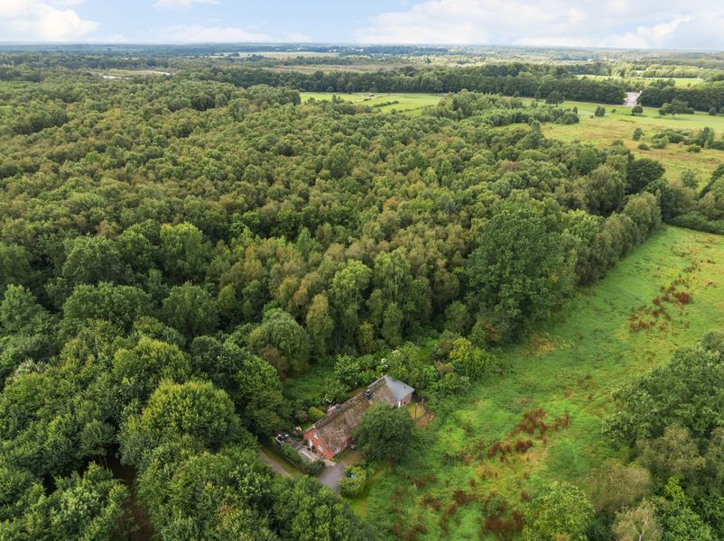 Bild von Haus in Nehms