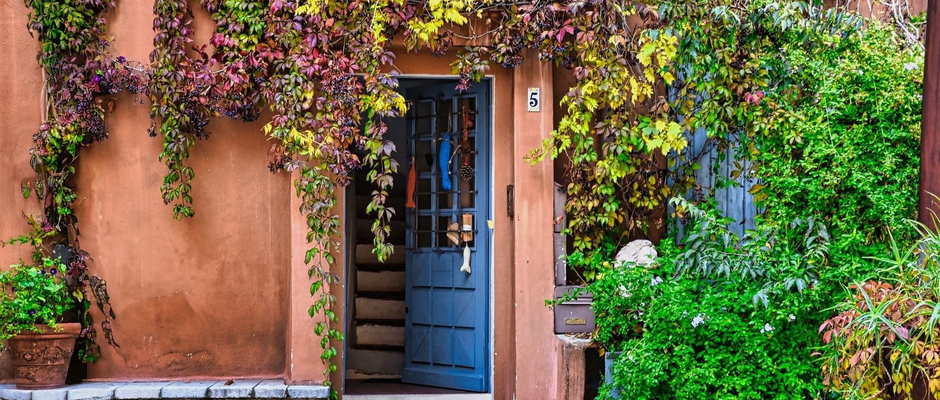 Symbolbild: begrünter Hauseingang