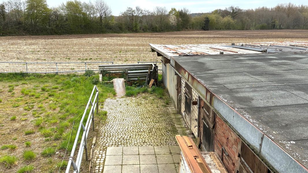 Bild von Haus in Remmels