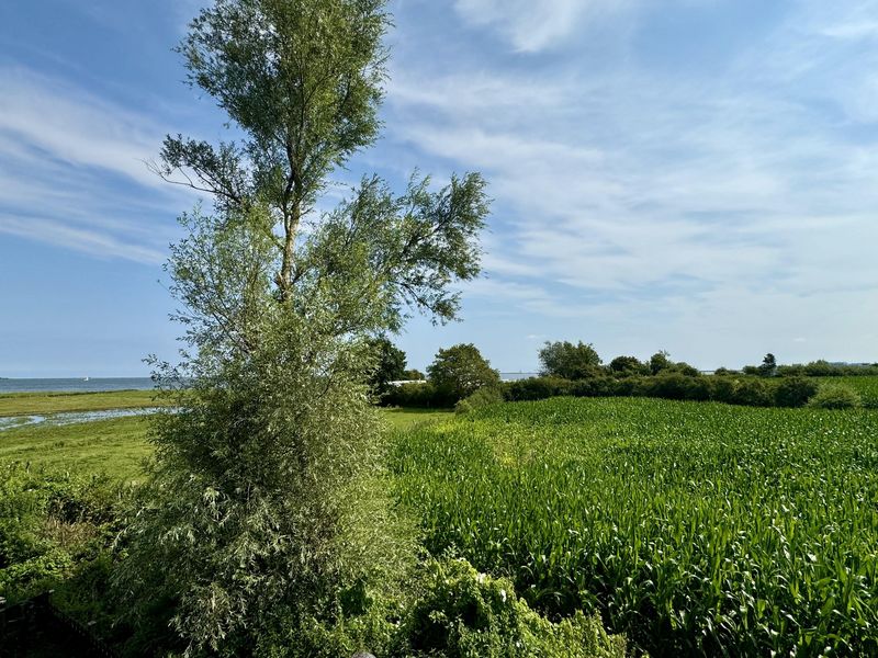 Bild von Haus in Kappeln