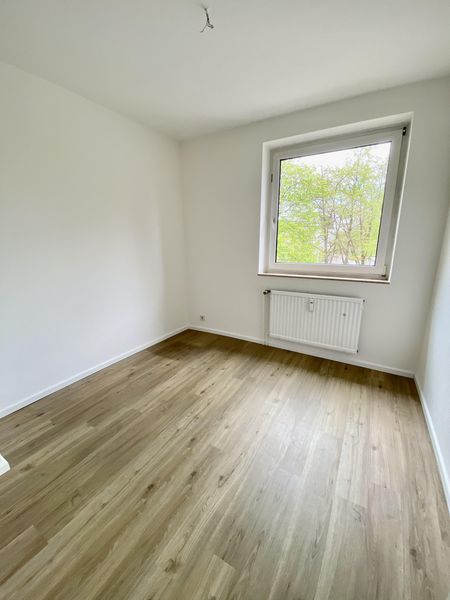 Bild von Wohnung in Elmshorn