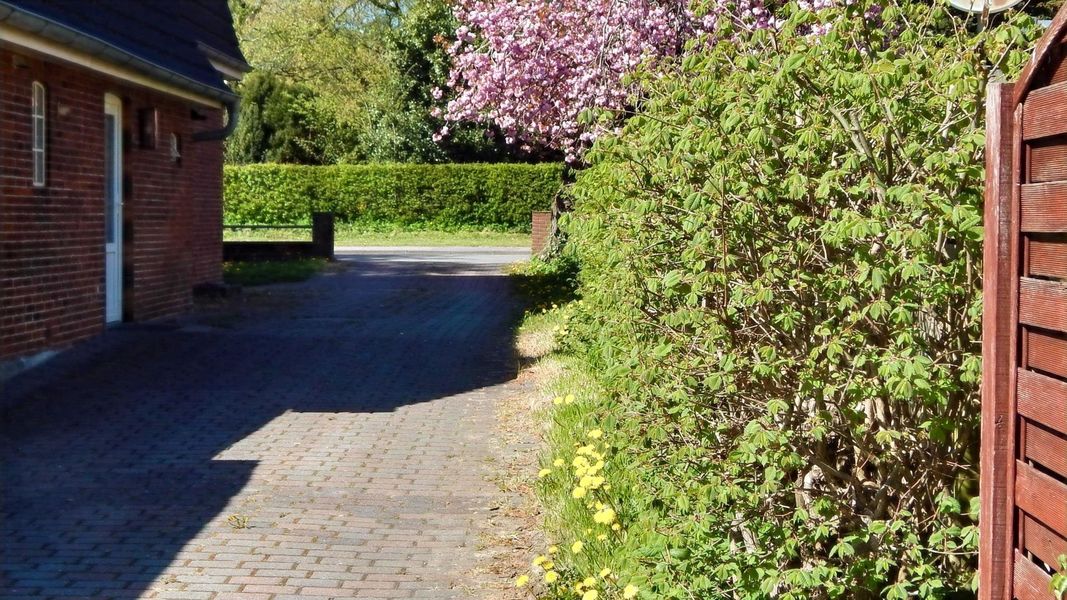 Bild von Haus in Husum
