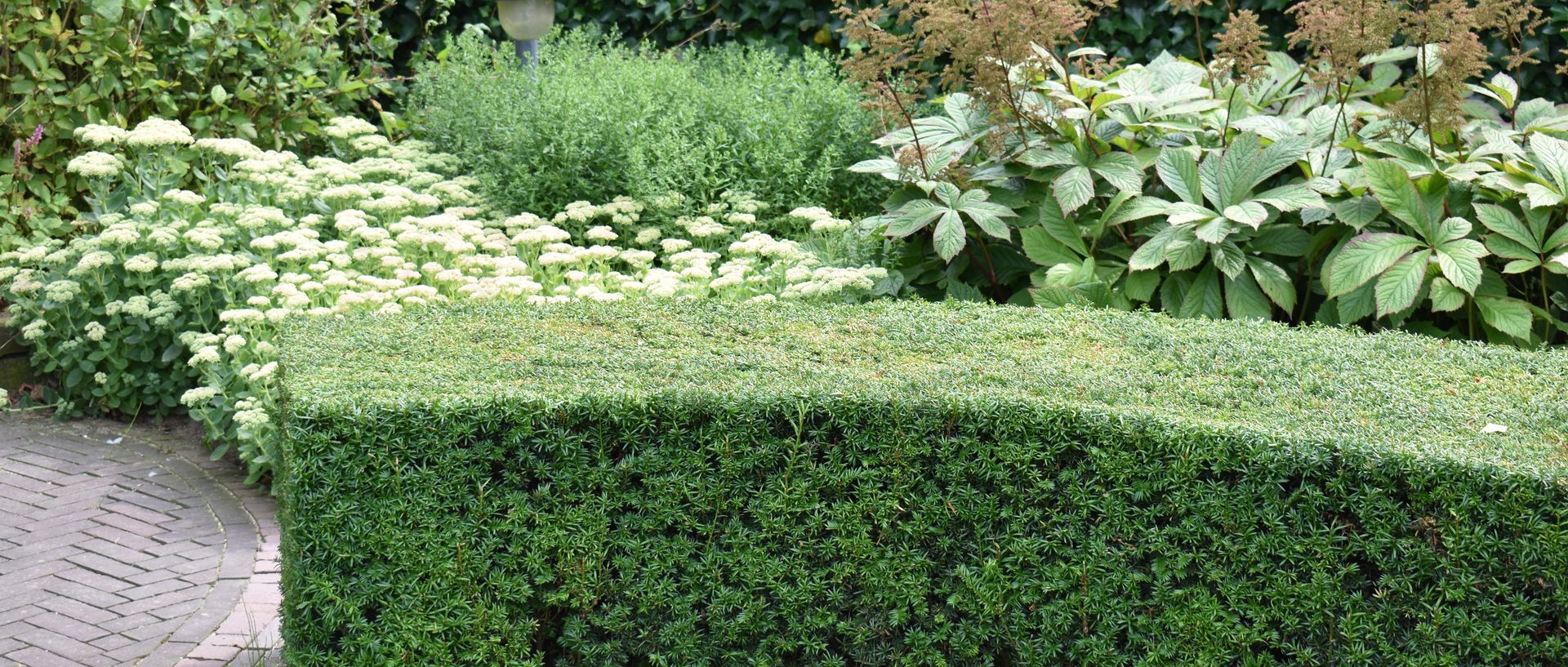 Symbolbild gepflegter Garten mit Hecke