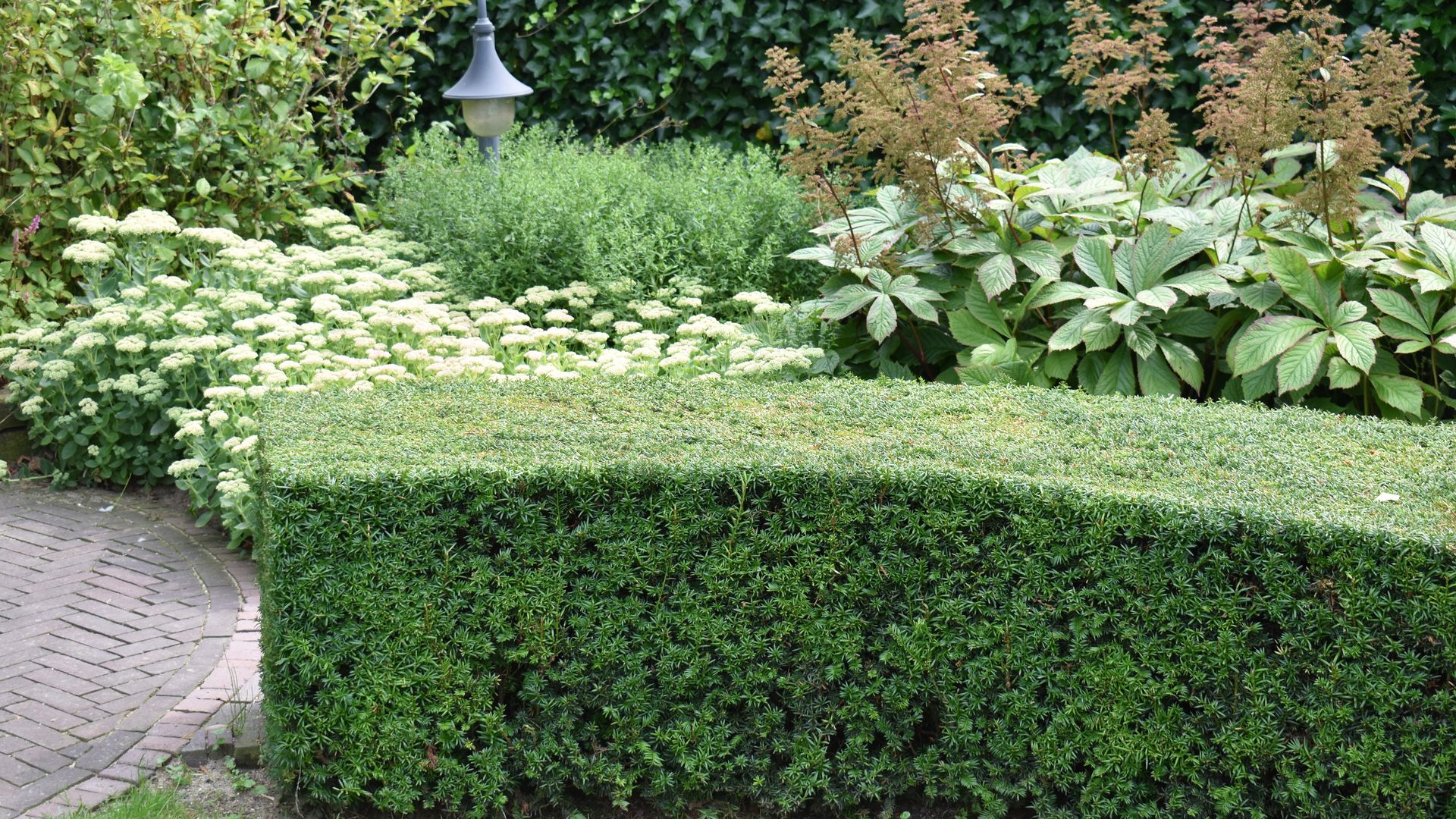 Symbolbild gepflegter Garten mit Hecke