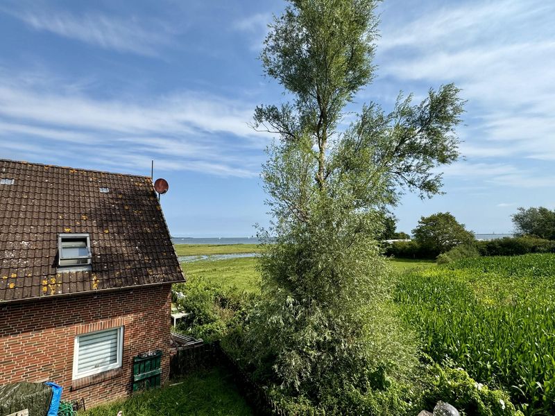 Bild von Haus in Kappeln