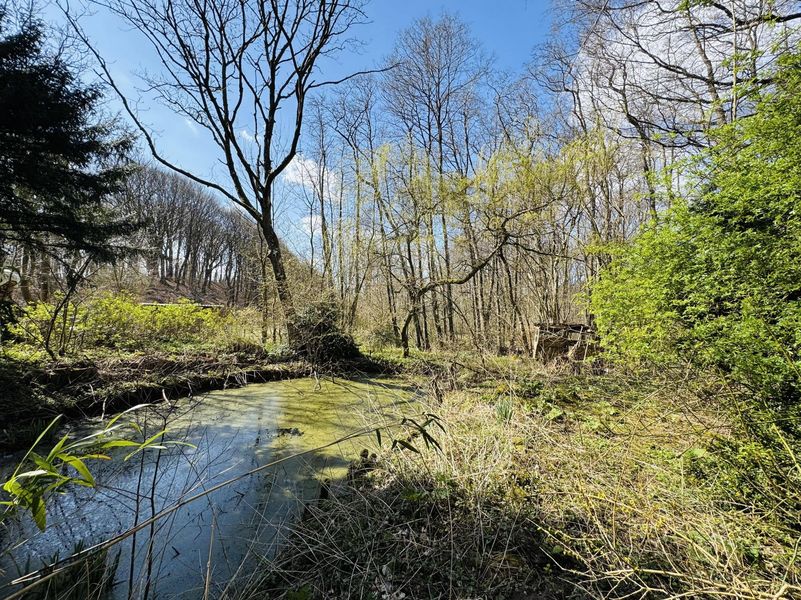 Bild von Haus in Oeversee