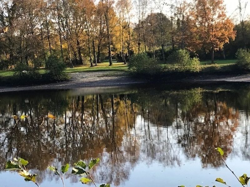 Bild von Haus in Hohenwestedt