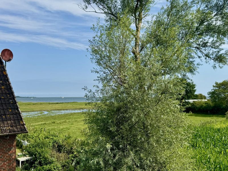 Bild von Haus in Kappeln