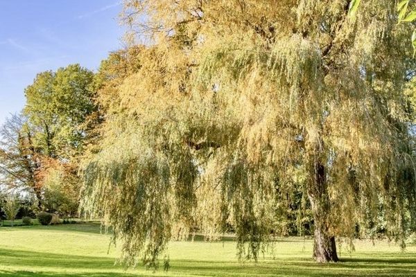 Bild von Haus in Brodersby-Goltoft