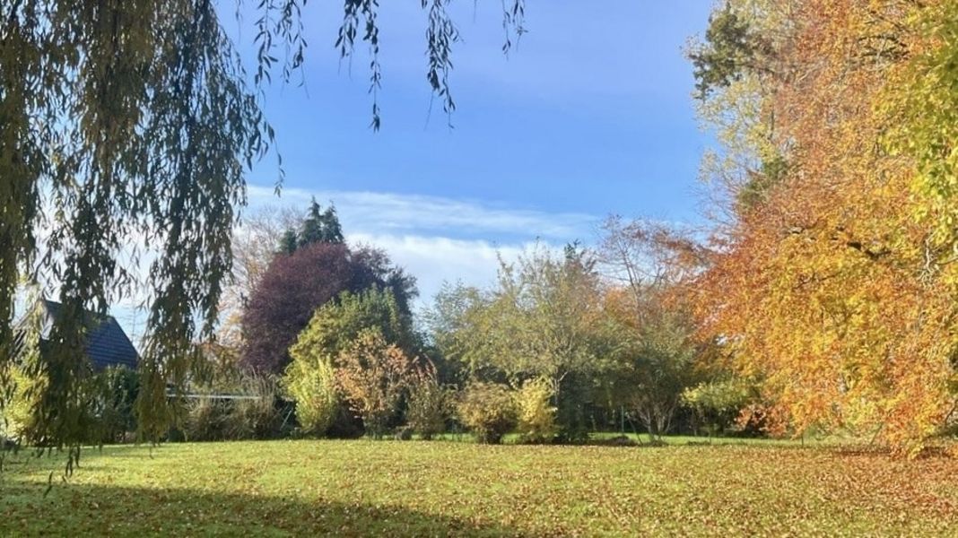 Bild von Haus in Brodersby-Goltoft