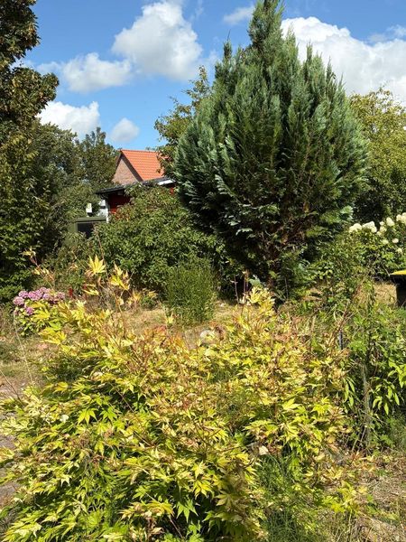 Bild von Haus in Dagebüll