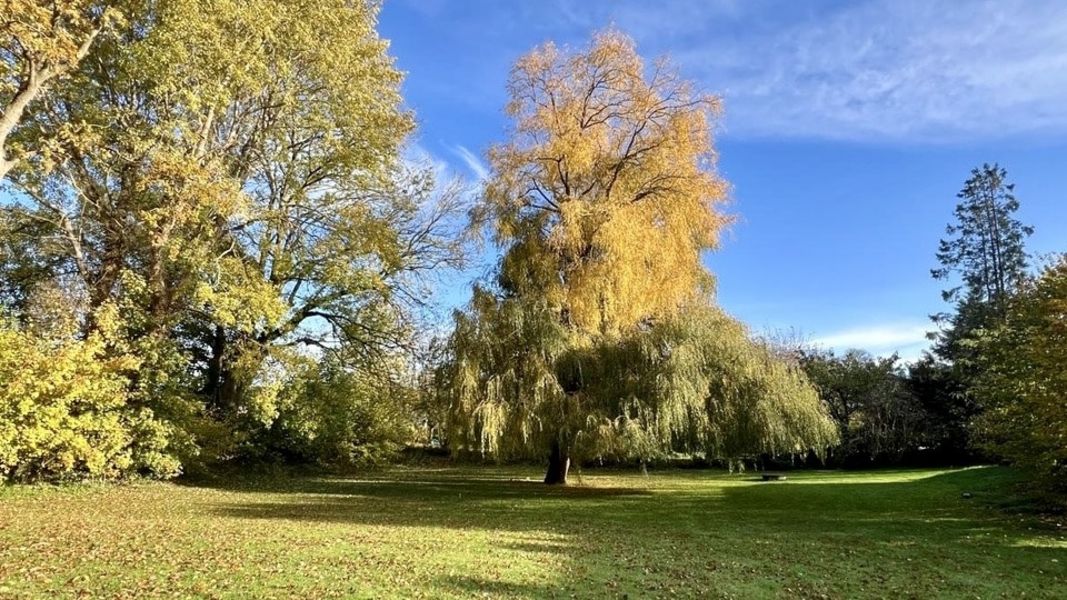 Bild von Haus in Brodersby-Goltoft