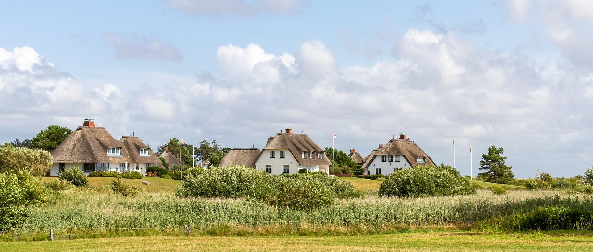 Mehrere helle Reetdachhäuser auf einer weiten Wiese mit viel Natur und Himmel – ein Beispiel für modernes Wohnen auf dem Land.