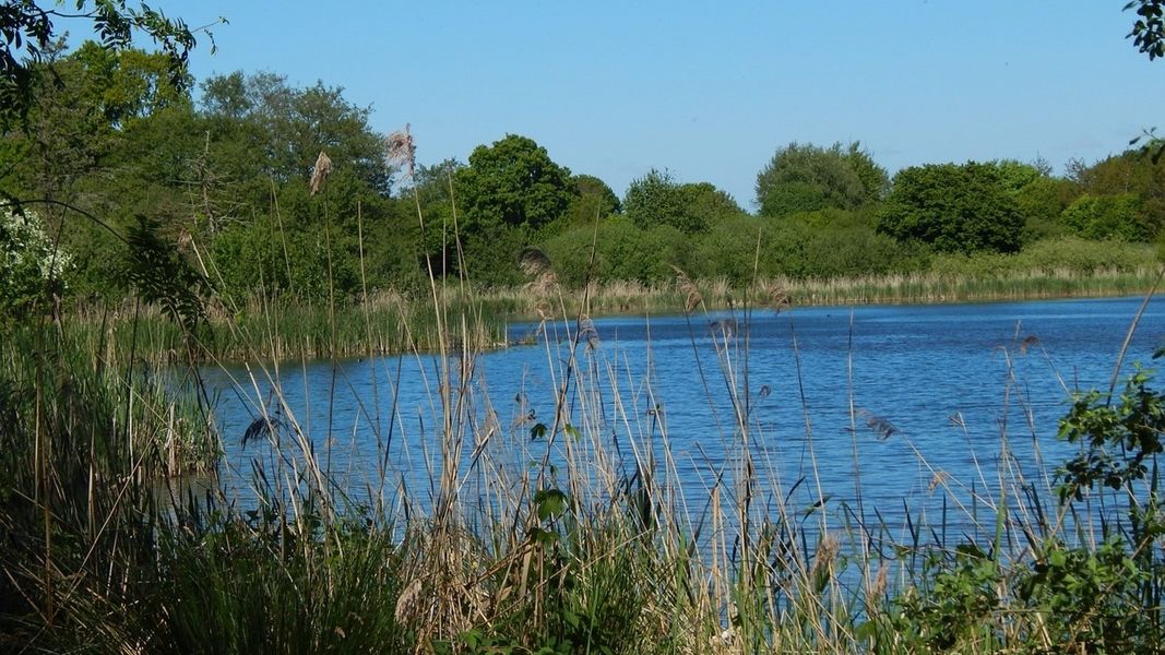 Bild von Haus in Owschlag