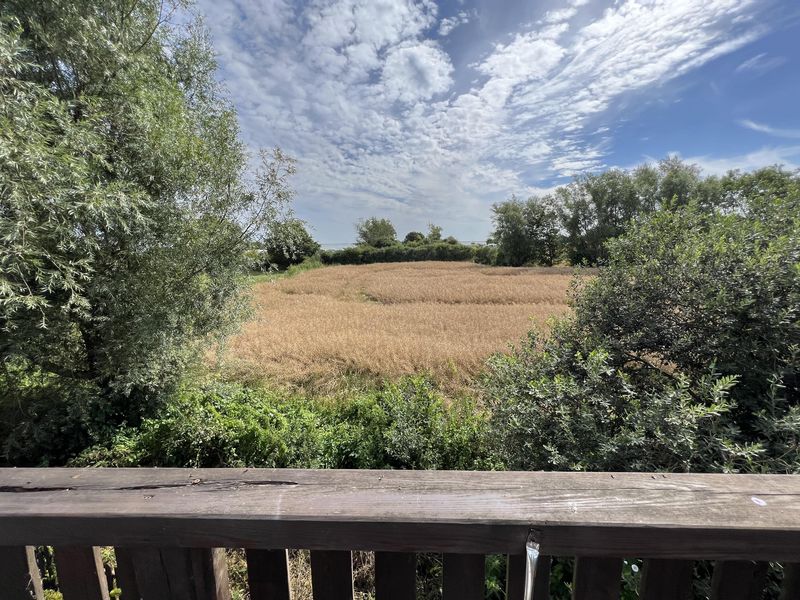 Bild von Haus in Kappeln