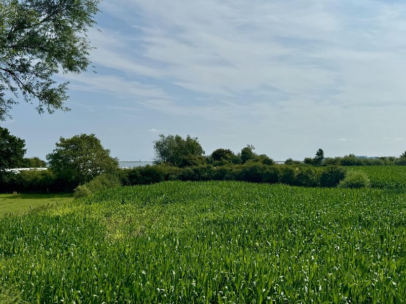 Bild von Haus in Kappeln