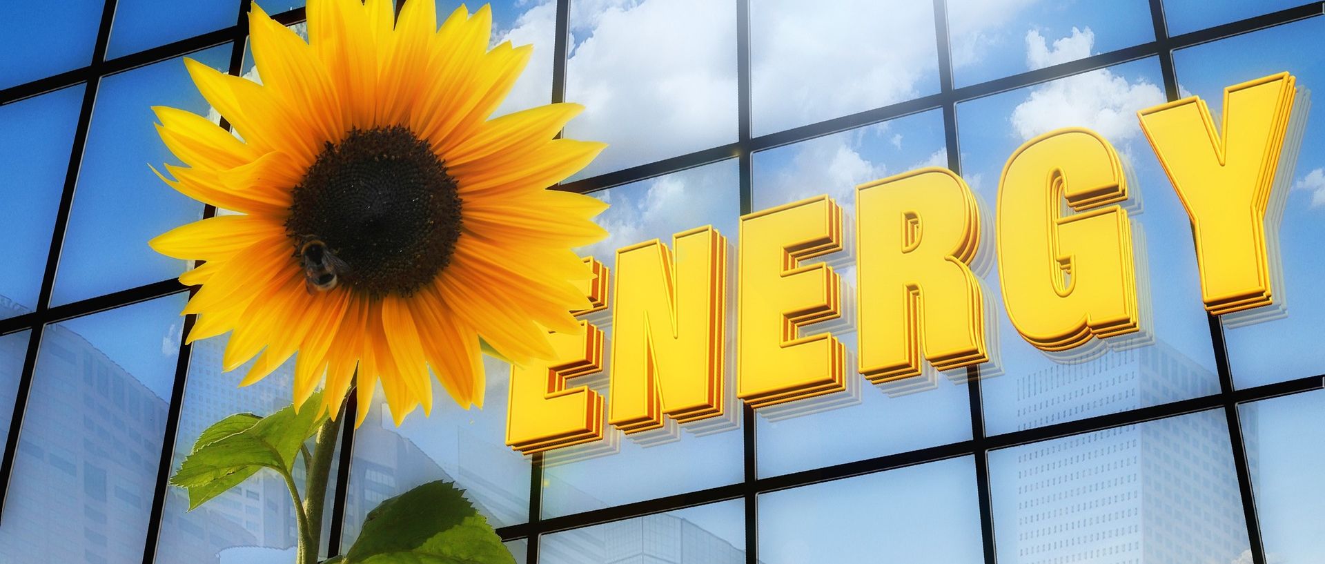 Symbolbild: Sonnenblume und Energy