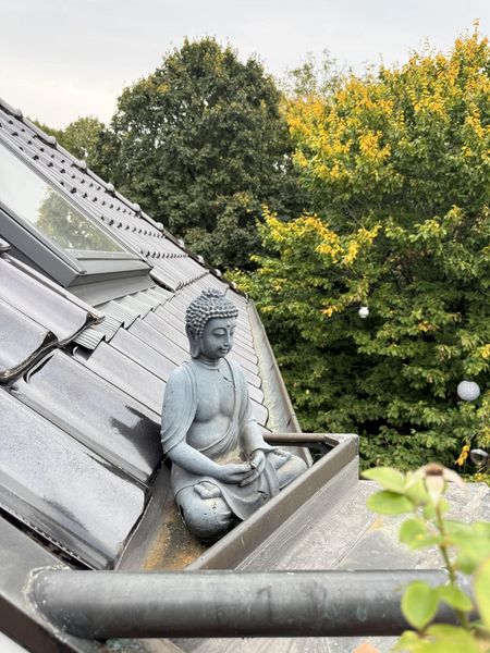 Bild von Wohnung in Neumünster