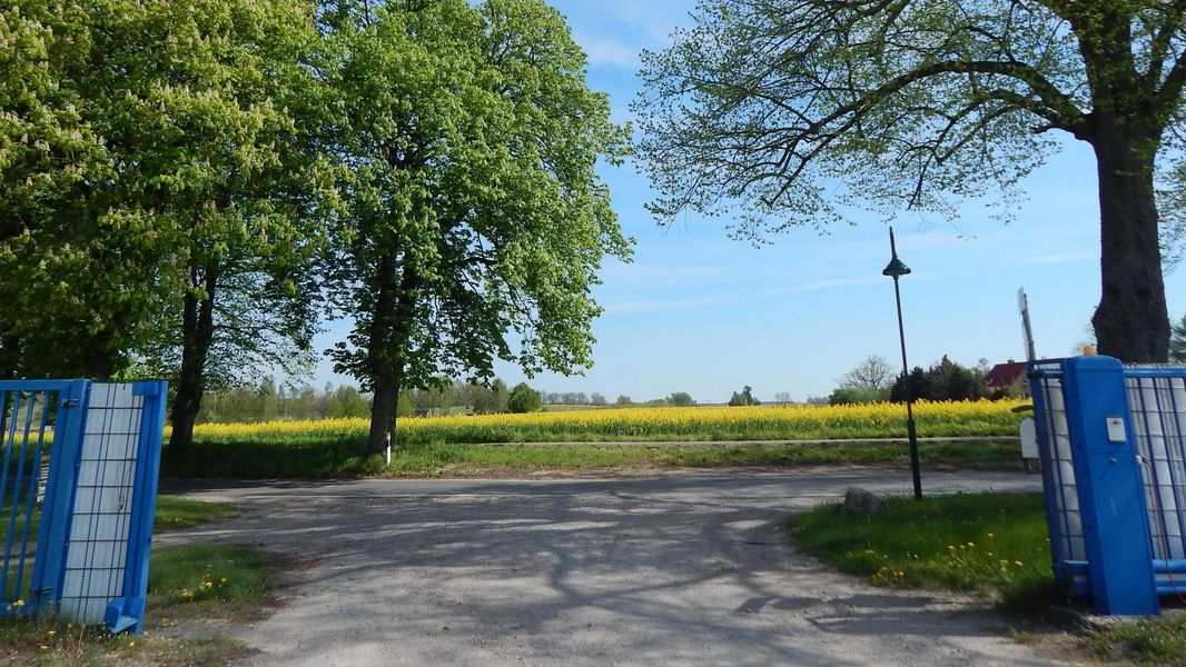 Bild von Grundstück in Zülow