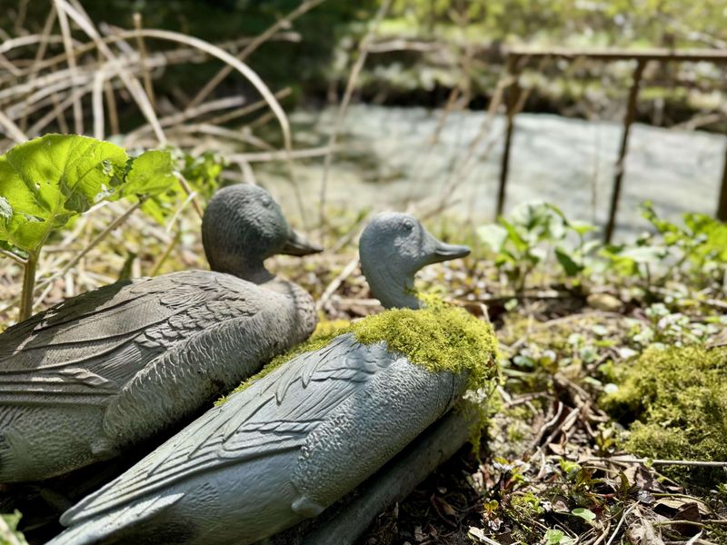 Bild von Haus in Oeversee